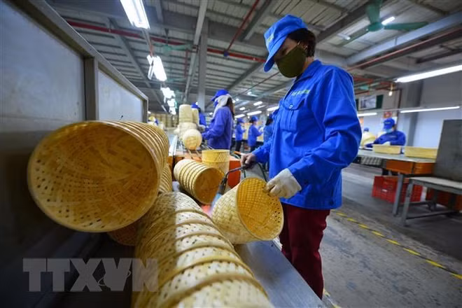 国际劳工组织驻越首席代表:越南正努力限制 新冠疫情的负面影响 ảnh 3 国际劳工组织驻越首席代表:越南正努力限制 新冠疫情的负面影响 ảnh 3