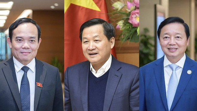 越南政府副总理工作任务分工 ảnh 1 越南政府副总理工作任务分工 ảnh 1
