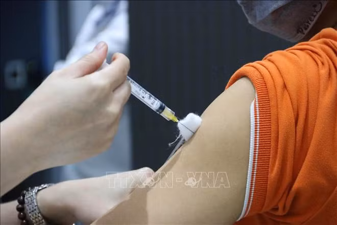 1月15日越南新增新冠肺炎确诊病例数创下24个月以来新低 ảnh 1 1月15日越南新增新冠肺炎确诊病例数创下24个月以来新低 ảnh 1