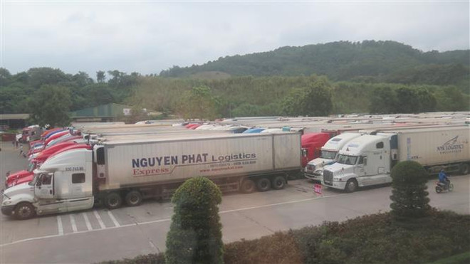 老街口岸积极化解通关难题 火龙果运输车辆堵塞问题得到解决 ảnh 2 老街口岸积极化解通关难题 火龙果运输车辆堵塞问题得到解决 ảnh 2