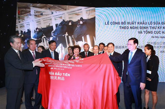 越南首批乳制品正式进军中国市场 ảnh 1