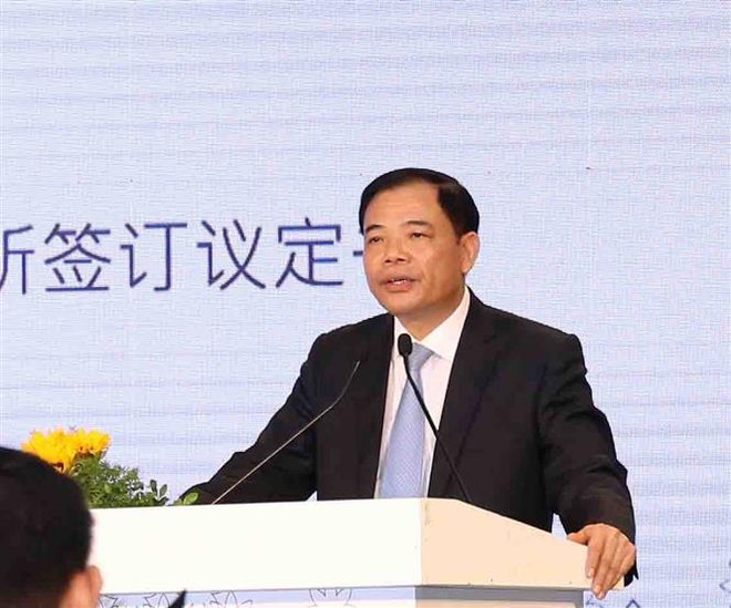 越南首批乳制品正式进军中国市场 ảnh 2