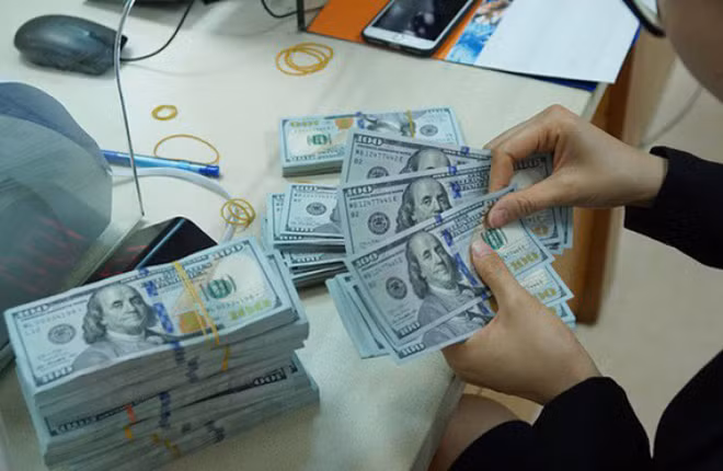 越南外债资金到位率仅达23.2% ảnh 1