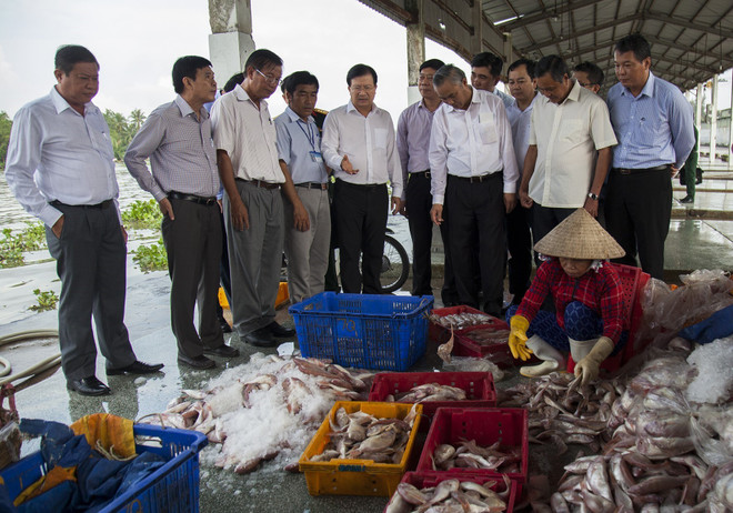郑廷勇副总理:坚决打击非法捕鱼现象 ảnh 2 郑廷勇副总理:坚决打击非法捕鱼现象 ảnh 2