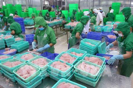 美国对越南查鱼产品第十五轮反倾销行政审查作出决定 ảnh 2 美国对越南查鱼产品第十五轮反倾销行政审查作出决定 ảnh 2