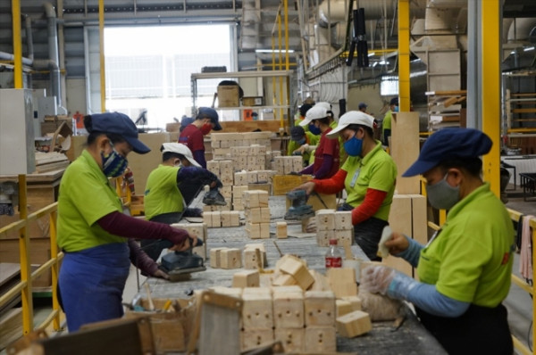 越南前10月农林水产品出口额达330亿多美元 ảnh 2 越南前10月农林水产品出口额达330亿多美元 ảnh 2