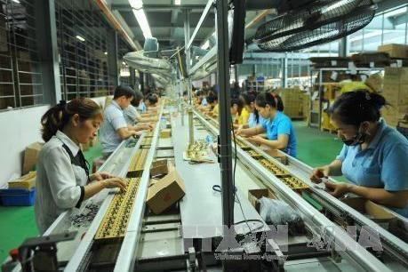 越南私营企业可持续发展的六大措施 ảnh 2