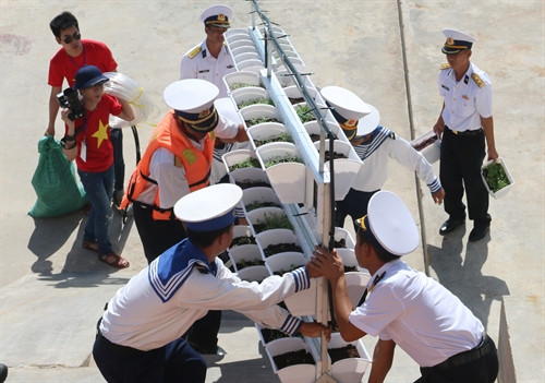 越侨与长沙群岛:向长沙赠送包含深情的礼物 ảnh 1 越侨与长沙群岛:向长沙赠送包含深情的礼物 ảnh 1