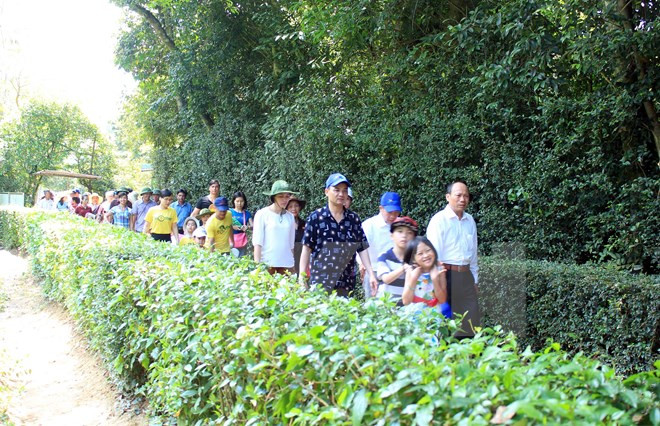 4·30和5·1假期宜安省胡伯伯故乡吸引游客量猛增 ảnh 1