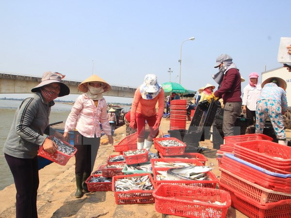 为渔民颁发安全海域的水产品安全证书 ảnh 1 为渔民颁发安全海域的水产品安全证书 ảnh 1