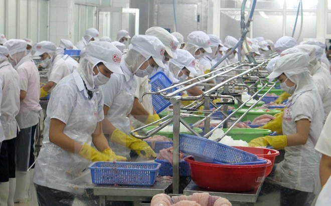 越南安江省大米、鱼类出口商品呈现较好增长势头 ảnh 1 越南安江省大米、鱼类出口商品呈现较好增长势头 ảnh 1