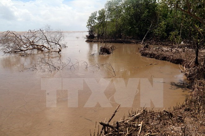 世行协助越南改造交通系统、控制洪水及改善民生 ảnh 1