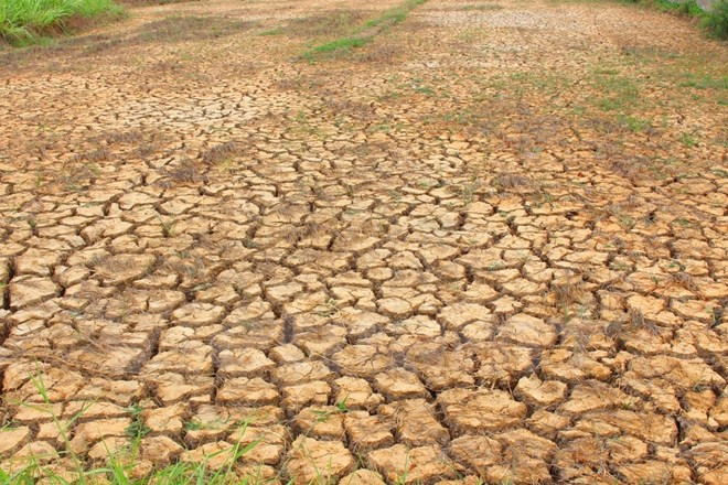 应对气候变化支持项目获批 ảnh 1 应对气候变化支持项目获批 ảnh 1