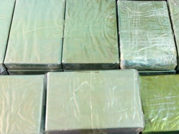 越南将承办东盟有关禁毒的两场会议 ảnh 1