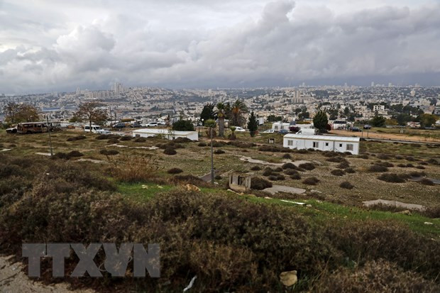 越南与联合国安理会：越南对中东和平进程发表看法 ảnh 1