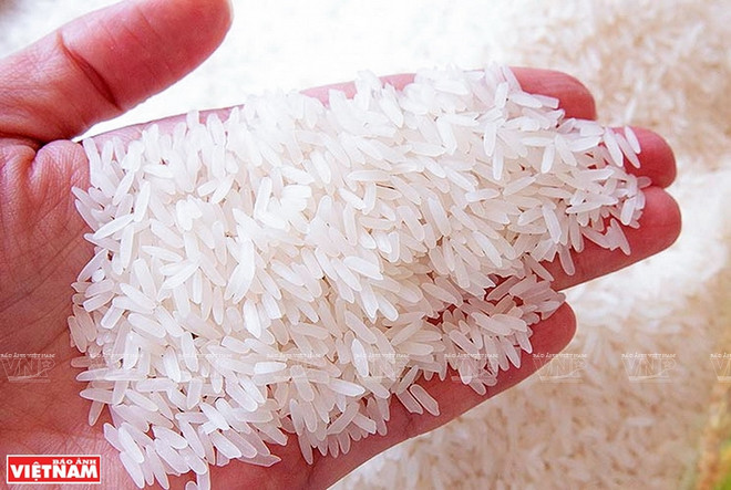 越南的大米出口价格创9年来最高水平 ảnh 1