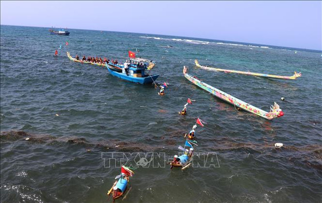 黄沙群岛——越南祖国的部分神圣领土 ảnh 2 黄沙群岛——越南祖国的部分神圣领土 ảnh 2
