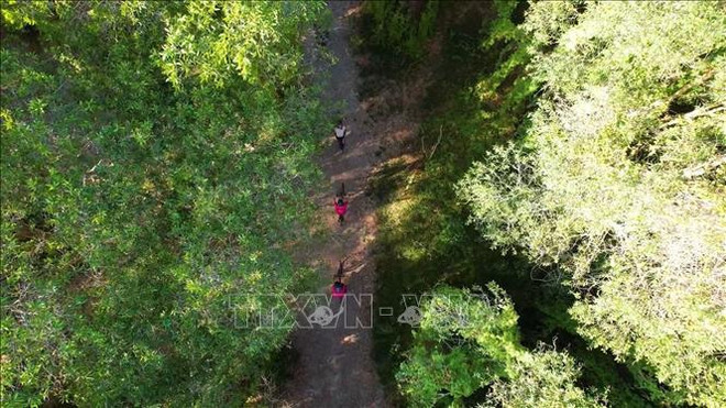 越南力争到2025年旅游业发展指数排名上升至少2位 ảnh 2 越南力争到2025年旅游业发展指数排名上升至少2位 ảnh 2