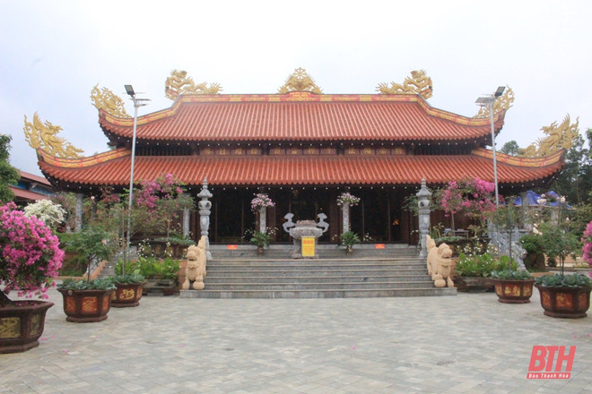 探寻古老猫寺的独特魅力 ảnh 1 探寻古老猫寺的独特魅力 ảnh 1