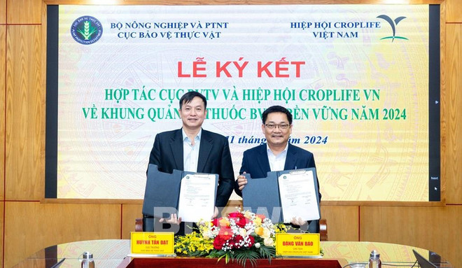 科学安全地使用农药 确保符合国际标准 ảnh 1 科学安全地使用农药 确保符合国际标准 ảnh 1