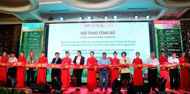 ☕️越通社新闻下午茶(2024.1.16) ảnh 3 ☕️越通社新闻下午茶(2024.1.16) ảnh 3