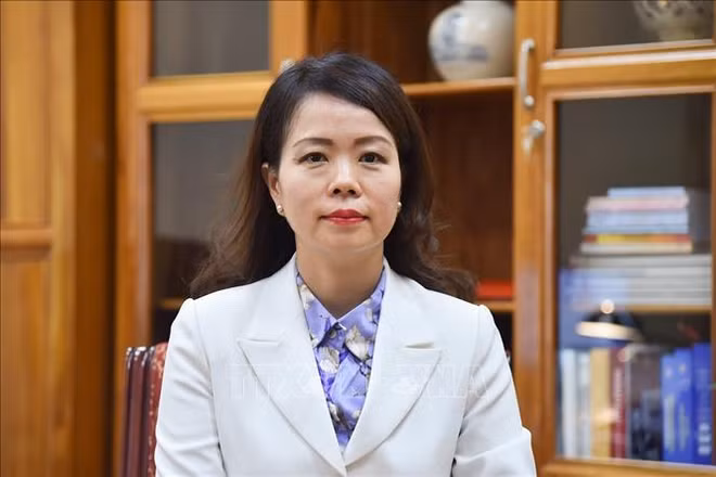 外交部副部长阮明姮：政府总理范明政欧洲之行具有许多重要意义 ảnh 2