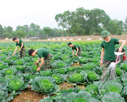 全军力争圆满完成2024年后勤任务 ảnh 1