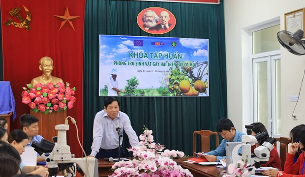 欧盟协助越南提高出口农产品的安全性 ảnh 1 欧盟协助越南提高出口农产品的安全性 ảnh 1