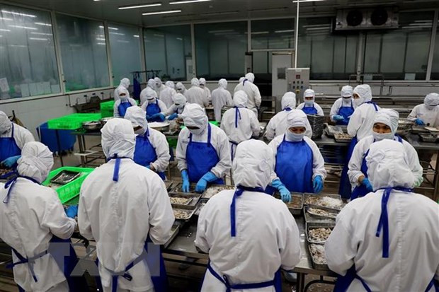 越南水产品出口创历史新高 ảnh 1 越南水产品出口创历史新高 ảnh 1