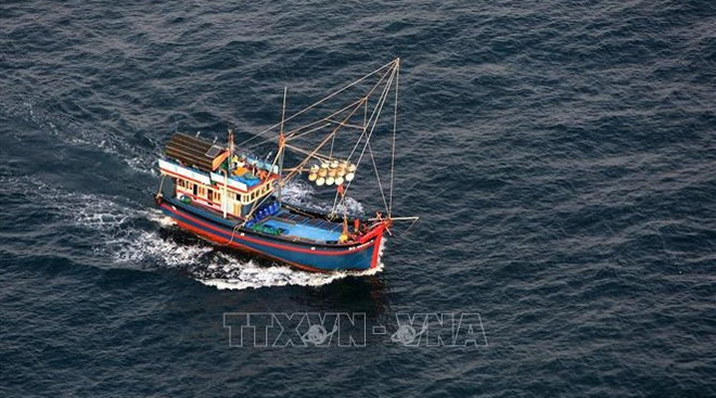 解除IUU“黄牌”:越南各地齐心协力 ảnh 1 解除IUU“黄牌”:越南各地齐心协力 ảnh 1
