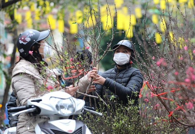 2023年癸卯春节河内开设91个春节花市 ảnh 1