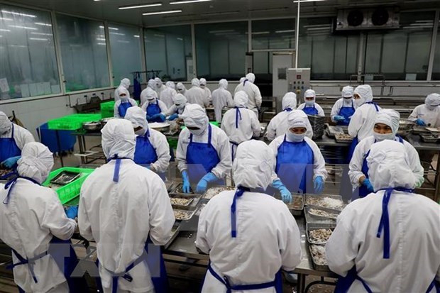 ☀️越通社早安咖啡(2022.12.28) ảnh 3 ☀️越通社早安咖啡(2022.12.28) ảnh 3