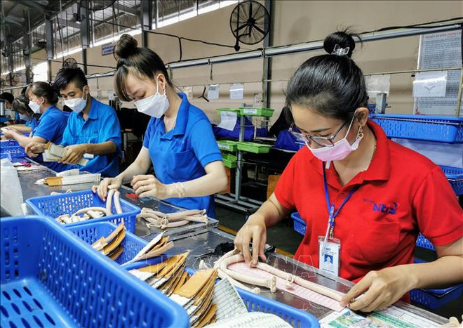 芹苴市GRDP首次实现两位数增长 ảnh 1 芹苴市GRDP首次实现两位数增长 ảnh 1
