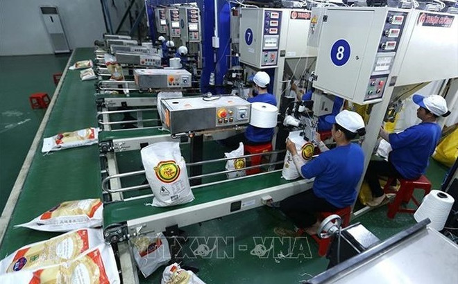 越南今年预计累计出口700多万吨大米 ảnh 1 越南今年预计累计出口700多万吨大米 ảnh 1