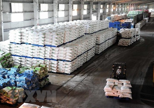 2023年金瓯省加大主力产品出口力度 ảnh 1 2023年金瓯省加大主力产品出口力度 ảnh 1