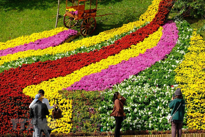 林同省经济增长处于西原地区领先地位 ảnh 1