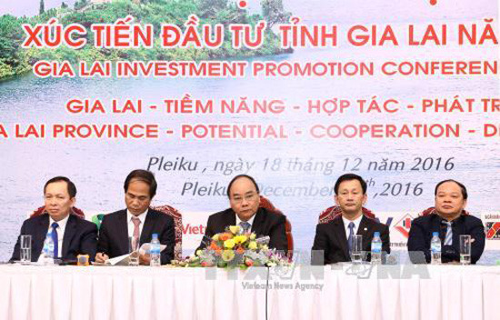 阮春福总理出席嘉莱省投资促进会 ảnh 1