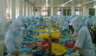 越南庆和省出口额连续五年突破10亿美元 ảnh 1