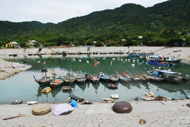 劬劳占岛上友善亲切的绿色环境 ảnh 1