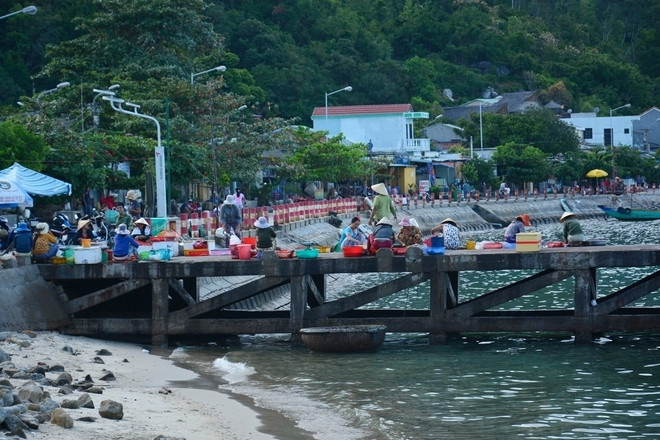 劬劳占岛上友善亲切的绿色环境 ảnh 2