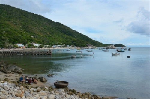 劬劳占岛上友善亲切的绿色环境 ảnh 5