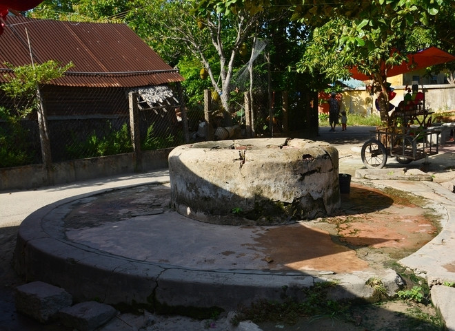 劬劳占岛上友善亲切的绿色环境 ảnh 6