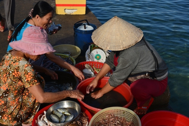 劬劳占岛上友善亲切的绿色环境 ảnh 3