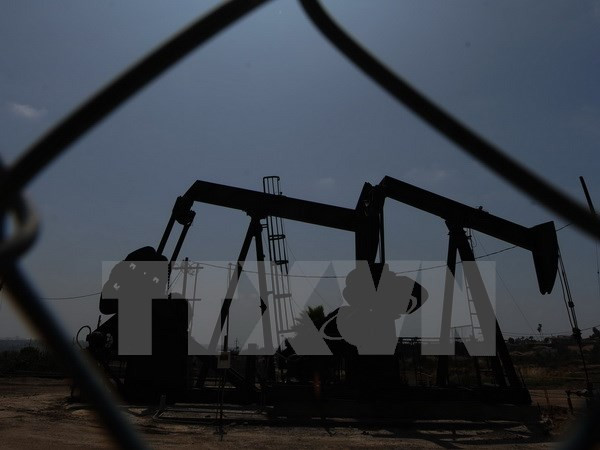 印尼将从伊朗进口大量液化石油气 ảnh 1