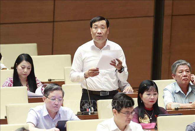 越南第十五届国会第五次会议：成功实施数字政府发展战略需要解决方案 ảnh 1