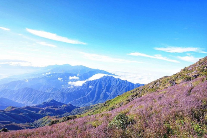 越南旅游:越南十五大最高山峰之一登山活动正式启动 ảnh 2 越南旅游:越南十五大最高山峰之一登山活动正式启动 ảnh 2