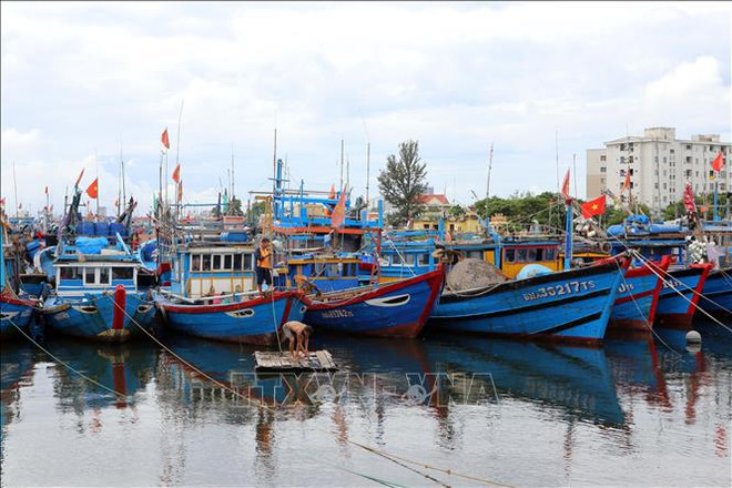台风 “奥鹿”风力15级 阵风17级以上 ảnh 2 台风 “奥鹿”风力15级 阵风17级以上 ảnh 2