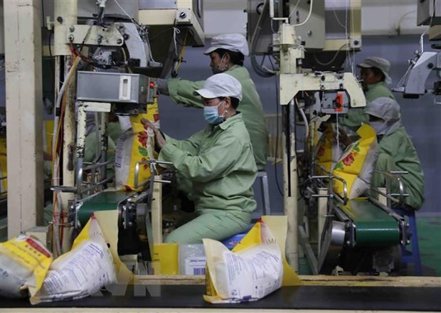 阿尔及利亚有意推动与越南的经贸合作关系发展 ảnh 1 阿尔及利亚有意推动与越南的经贸合作关系发展 ảnh 1