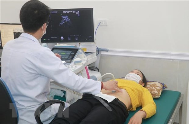 河内力争到2030年青年男女婚检率达95% ảnh 1 河内力争到2030年青年男女婚检率达95% ảnh 1