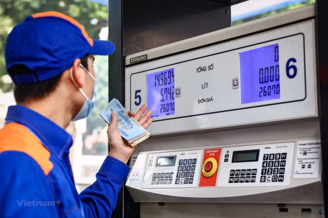 ☕️越通社新闻下午茶(2022.9.20) ảnh 3 ☕️越通社新闻下午茶(2022.9.20) ảnh 3